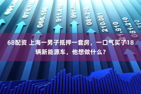 68配资 上海一男子抵押一套房，一口气买了18辆新能源车，他想做什么？